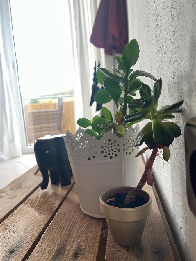 Schoene Wohnung In Ruhiger Laendlicher Lage Heidenheim  Buitenkant foto